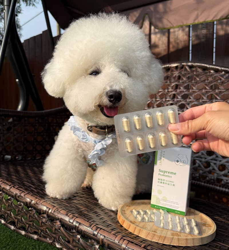 女人知己試用大隊,口碑行銷,部落客行銷,嬌寵醫生 極精萃 皮膚專科益生菌,保證新鮮活菌100億,皮膚保健益生菌,好吸收,幫助維持消化道機能,維持健康,可撥開膠囊使用以下方式均勻攪拌後，予以犬貓食用,●拌飼料　●拌罐頭　●拌鮮食　●拌肉泥,品牌創辦人是獸醫師，親自研發，吃得安心.放心,寵物預防醫學第一品牌,拒絕添加不必要成分